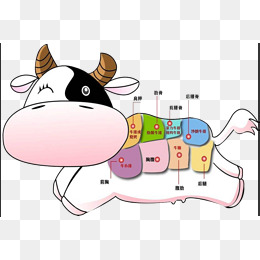卡通牛肉各个部位