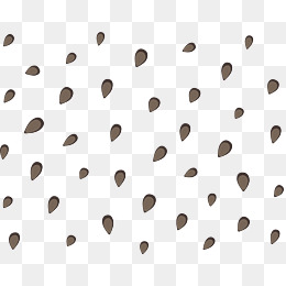 【西瓜子素材】_西瓜子图片大全_西瓜子素材