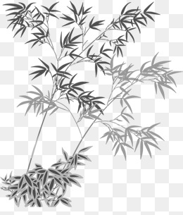 黄色的胡萝卜手绘插画
