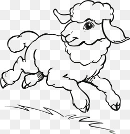 奔跑的绵羊