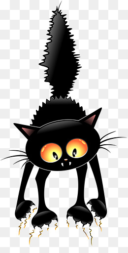 黑色炸毛猫咪