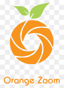 适量橘子logo