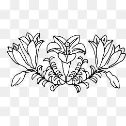 黑白手绘花草图案