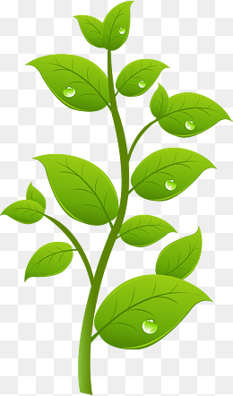 【叶子树素材】_叶子树图片大全_叶子树素材