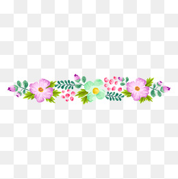 彩色花朵分割线素材图片免费下载_高清png_千库网