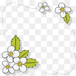 手绘小白花边框