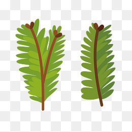 扁平化植物叶子