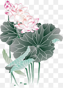 中国风荷花水彩画