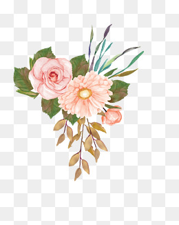 红色的鲜花花束插画