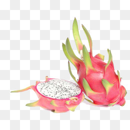 【白龙果素材】_白龙果图片大全_白龙果素材