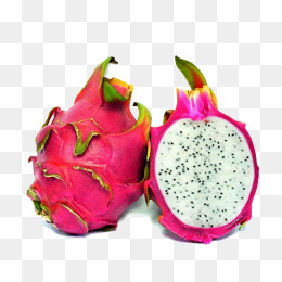 【龙果素材】_龙果图片大全_龙果素材免费下