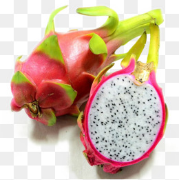 【白龙果素材】_白龙果图片大全_白龙果素材