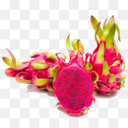 【龙果素材】_龙果图片大全_龙果素材免费下