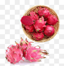 【龙果素材】_龙果图片大全_龙果素材免费下