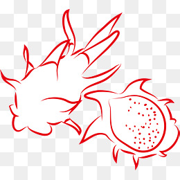 【龙果素材】_龙果图片大全_龙果素材免费下