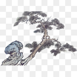国画彩色松树