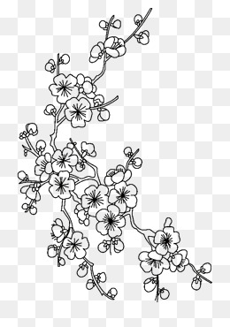 一支梅花简笔画线稿透明图
