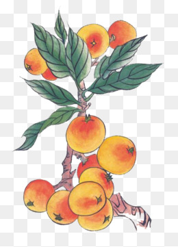 疯狂猜成语李树下有西瓜_看图猜成语(3)