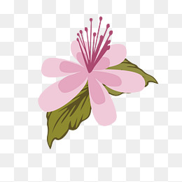 带两片叶子绽放的杜鹃花瓣矢量