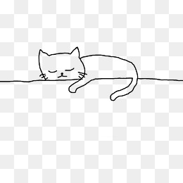 睡觉的猫咪