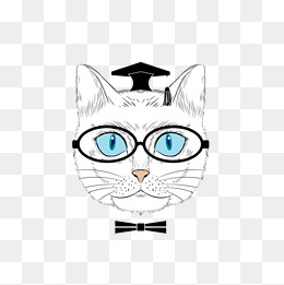 戴眼镜的酷炫猫