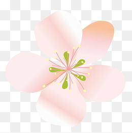 桃花形状桃花简笔画