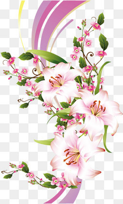 【百合唯美素材】免费下载_百合唯美图片大全