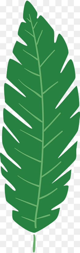 绿色热带植物叶子图