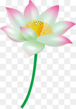 卡通手绘美丽的花瓣