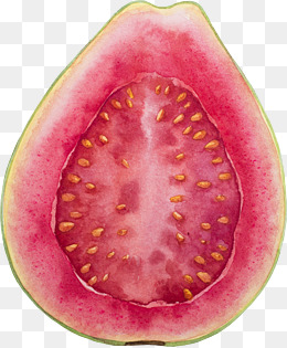 白心火龙果png大图