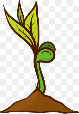 绿色春季植物嫩芽