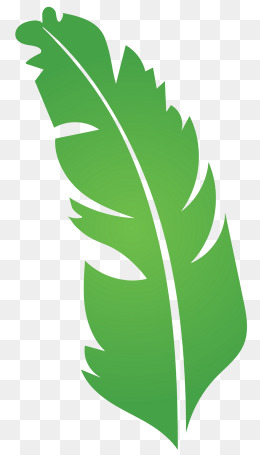 矢量扁平绿色芭蕉叶