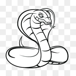 手绘动物蛇简笔画