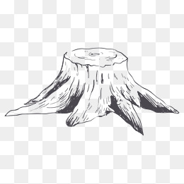 一只可爱的骆驼素描画