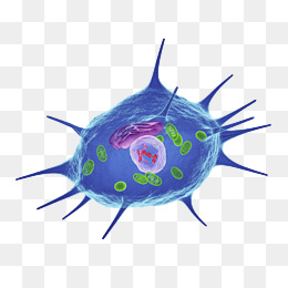 微生物细胞立体插画