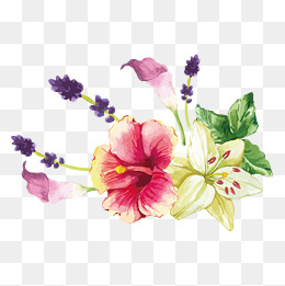 中国风水墨水彩工笔桃花戏蝶原创手绘免抠高清图