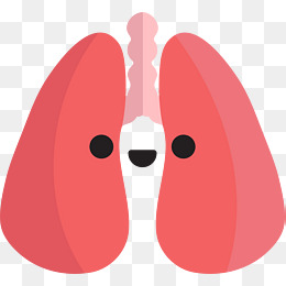 卡通肺部血管矢量图
