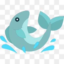 世界海洋日跳起来的海豚
