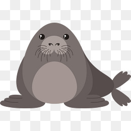 海洋大海可爱卡通生物海豹