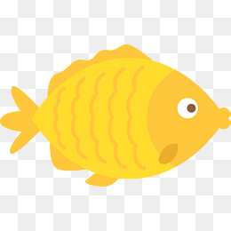 海生生物嘟嘴的鱼