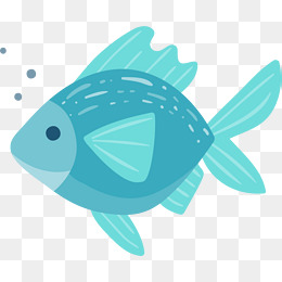 海洋生物冒泡的鱼