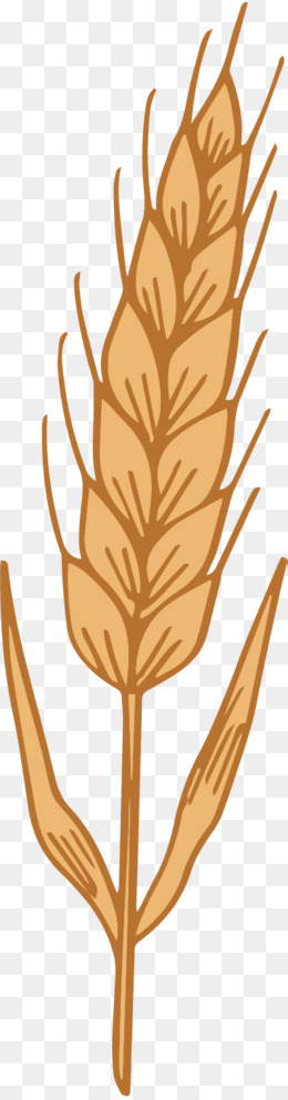 农作物粮食小麦卡通图素材图片免费下载-千库网