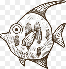 海洋生物嘟嘴的鱼