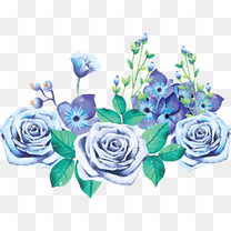 精美蓝色玫瑰花丛