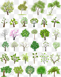 春天夏天绿色的大树手绘插画psd