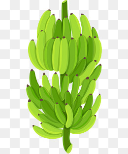 手绘绿色香蕉芭蕉