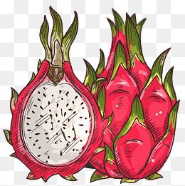 越南白心火龙果