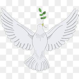 橄榄枝和平日鸽子
