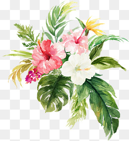 水彩花卉植物红花插画素材图片免费下载_高清psd_千库