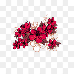 腊梅梅花卡通手绘插画